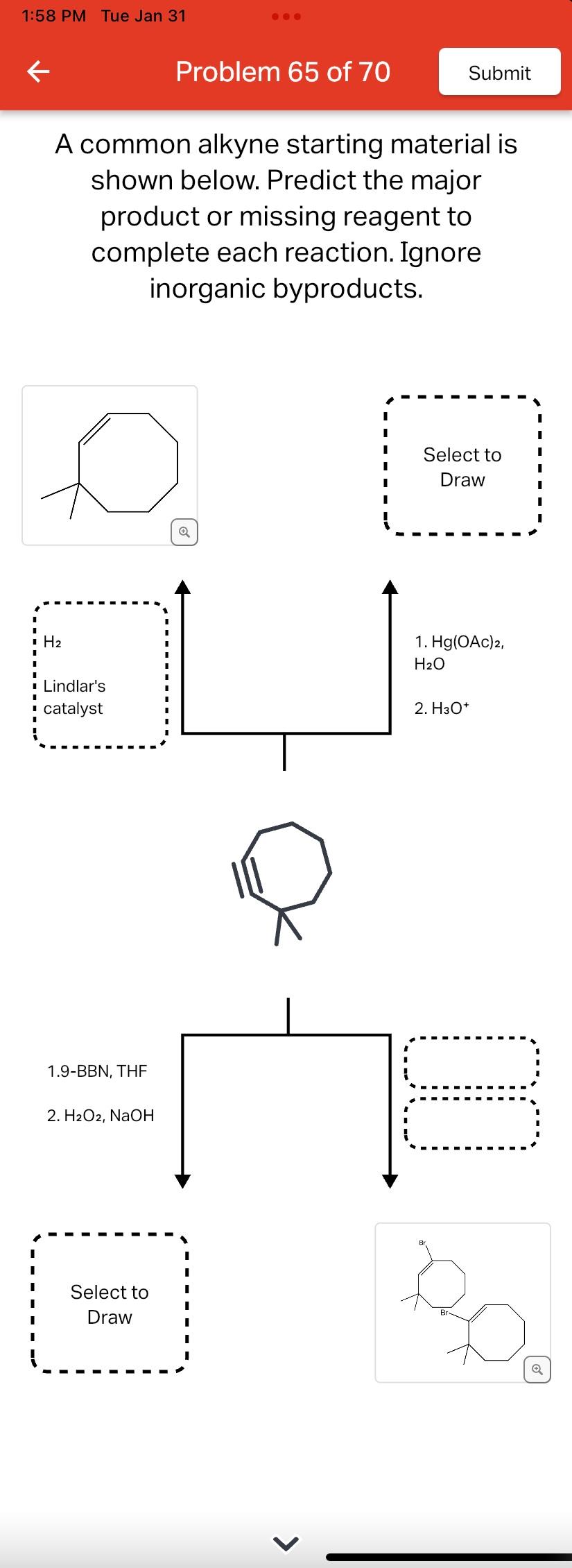 A common alkyne starting material is shown below. Predict the major product