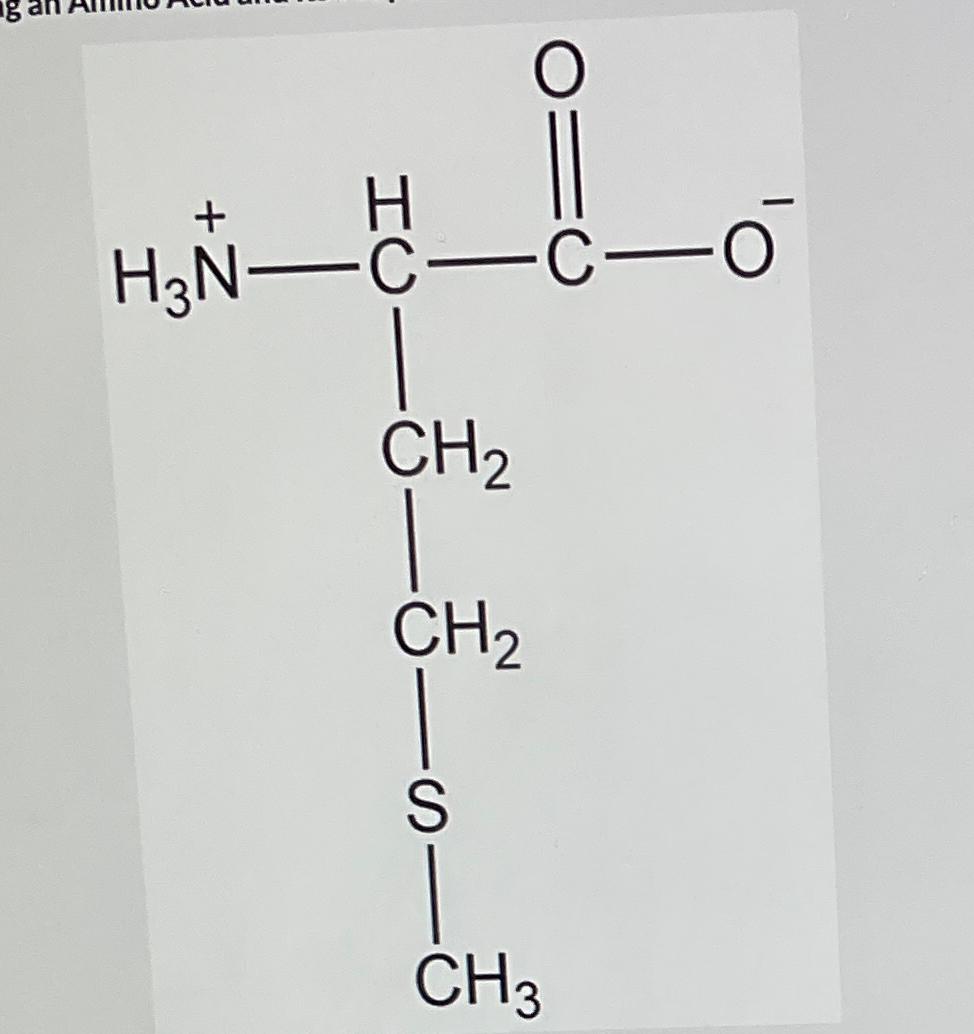  1)Identify the amino acid 2)Identify the 3 letter abbreviation 3)Identify the