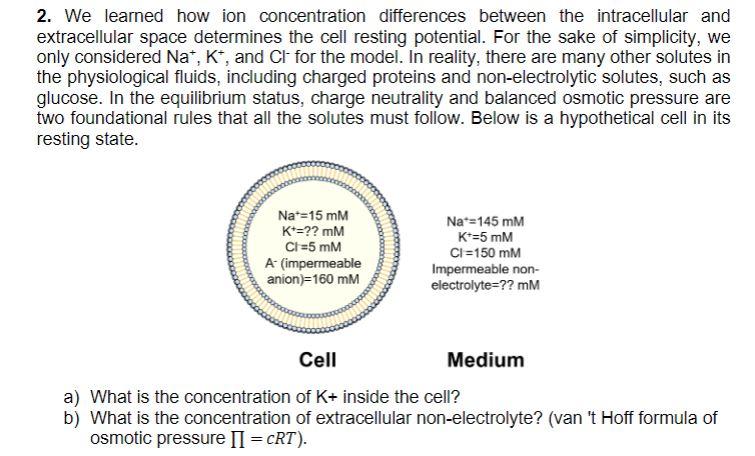 2. We learned how ion concentration differences between the intracellular and