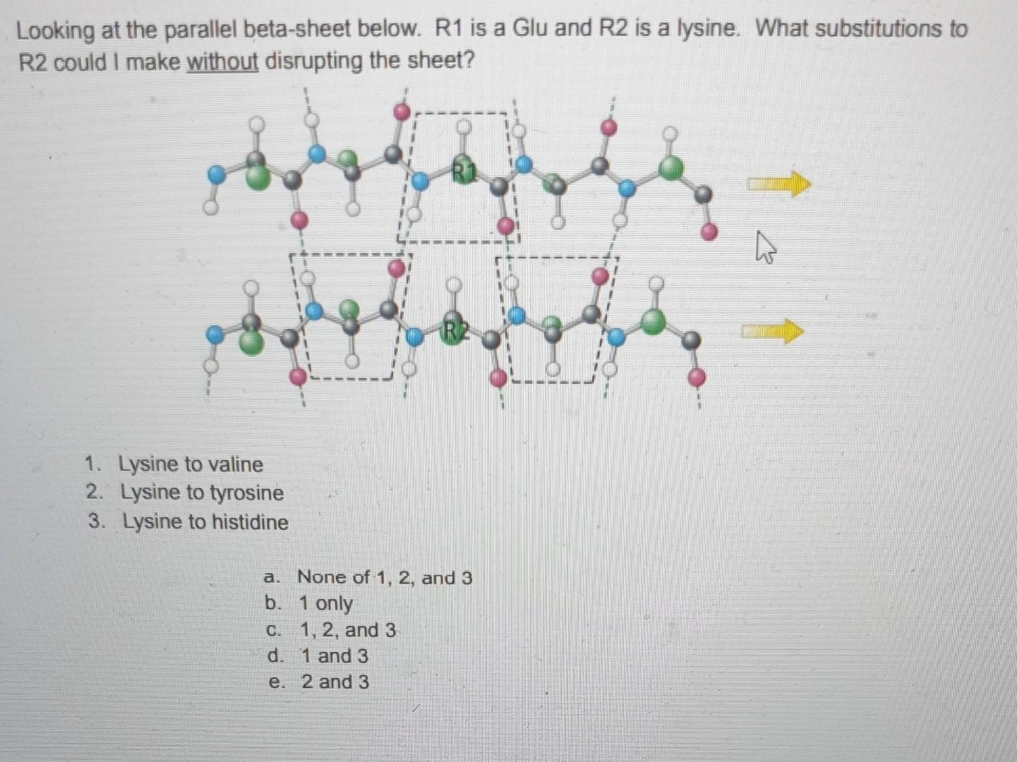  Looking at the parallel beta-sheet below. R1 is a Glu and