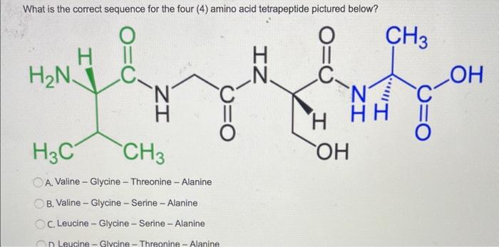  What is the correct sequence for the four (4) amino acid