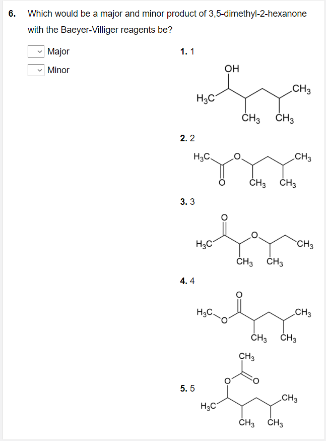 amine amide 5. Describe the main role of each listed below in