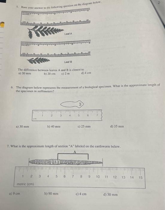 The difference between leaves A and B is closest to a)