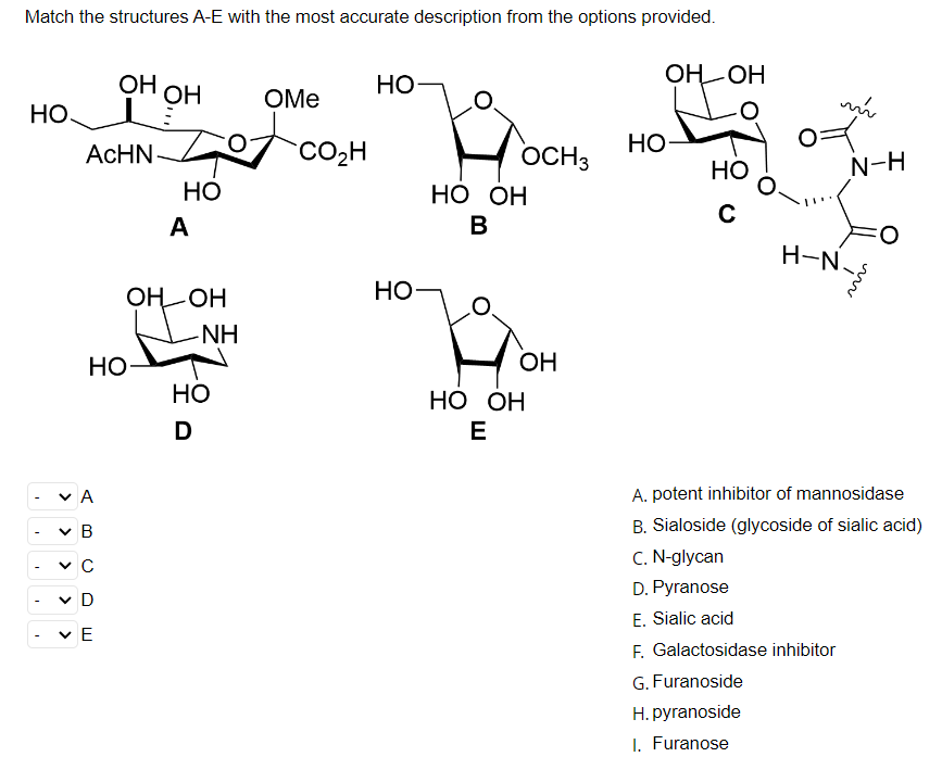 Match the structures A-E with the most accurate description from the