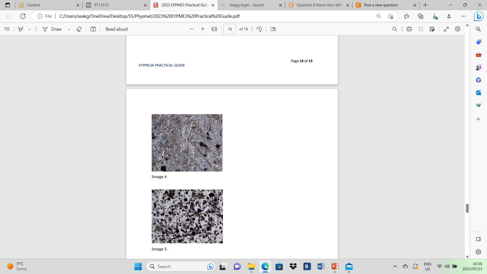 image text in transcribed