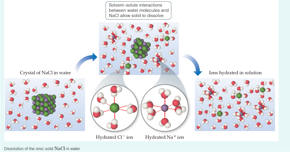 Dissolution of the ionic solid NaCl in water. Which atom in