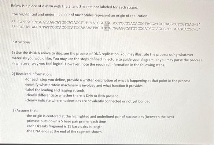 I need some guidance with diagraming the DNA replication process, I have