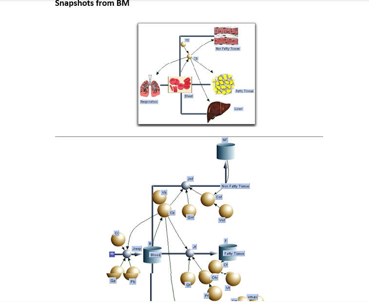 graphs should be submitted as a Word/pdf file. Note: The parameters in