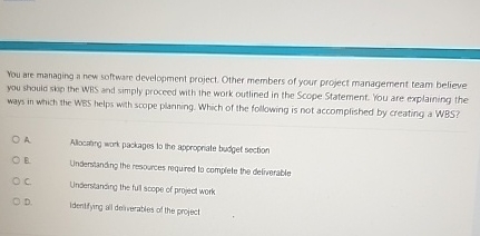  You ate managing a new software development project. Other members of