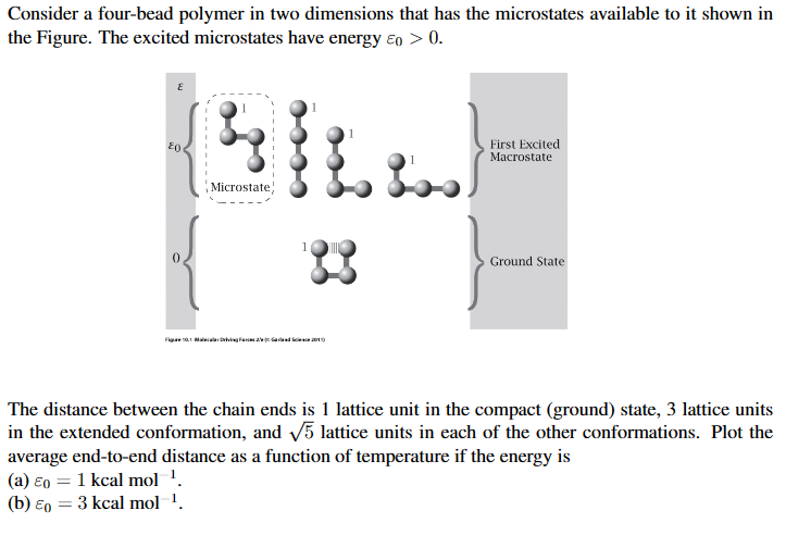  Consider a four-bead polymer in two dimensions that has the microstates