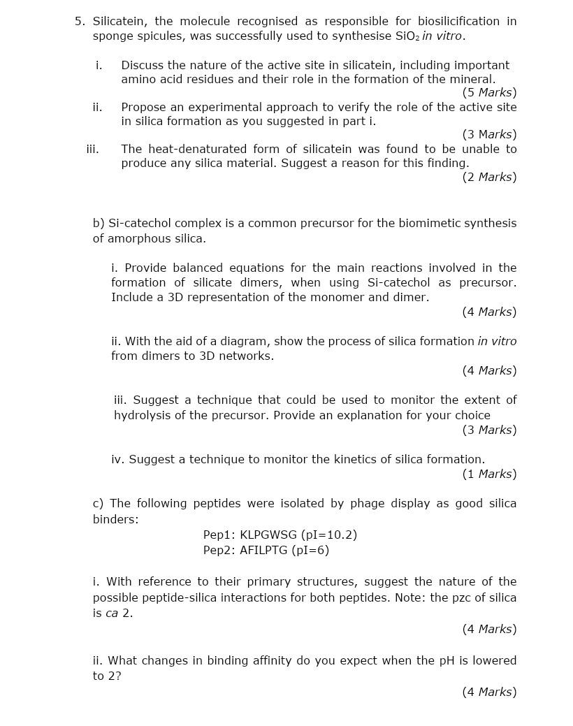  5. Silicatein, the molecule recognised as responsible for biosilicification in sponge