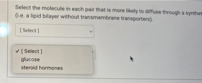 diffuse through a synthetic lipid bilayer (i.e. a lipid bilayer without transmembrane