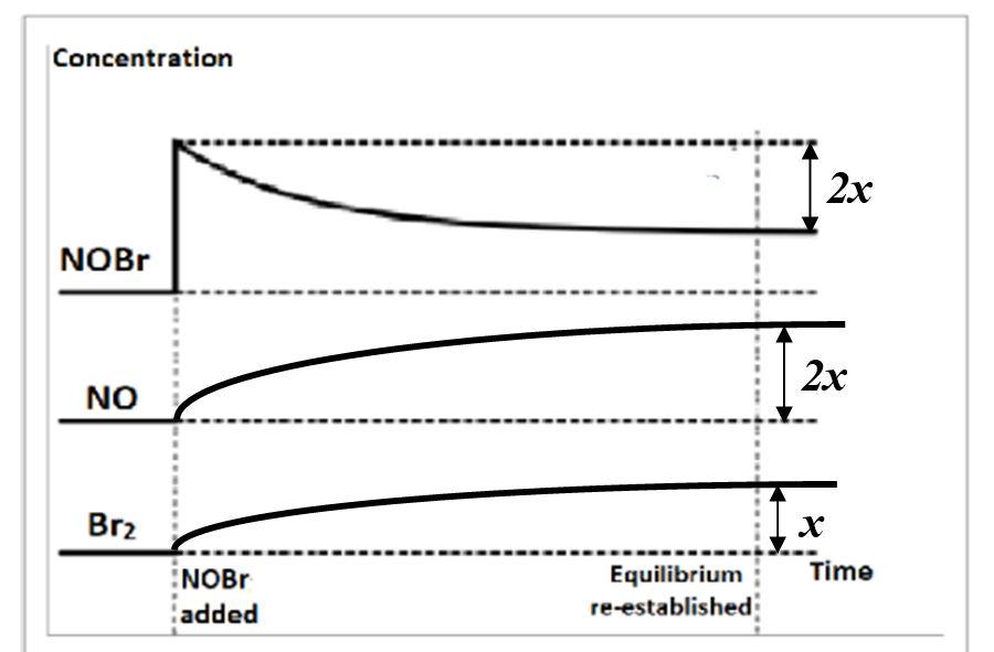 Equilibrium Type your answer to Part (a), Part (b) and Part (c)