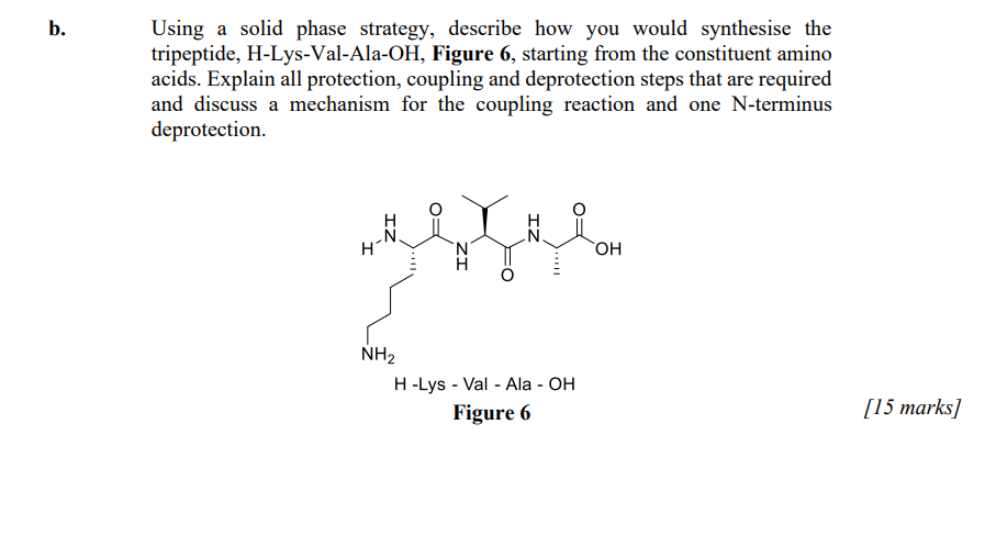  b. Using a solid phase strategy, describe how you would synthesise