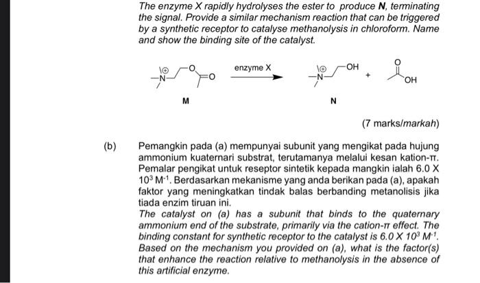 please dont put random answer help me answer a and b please