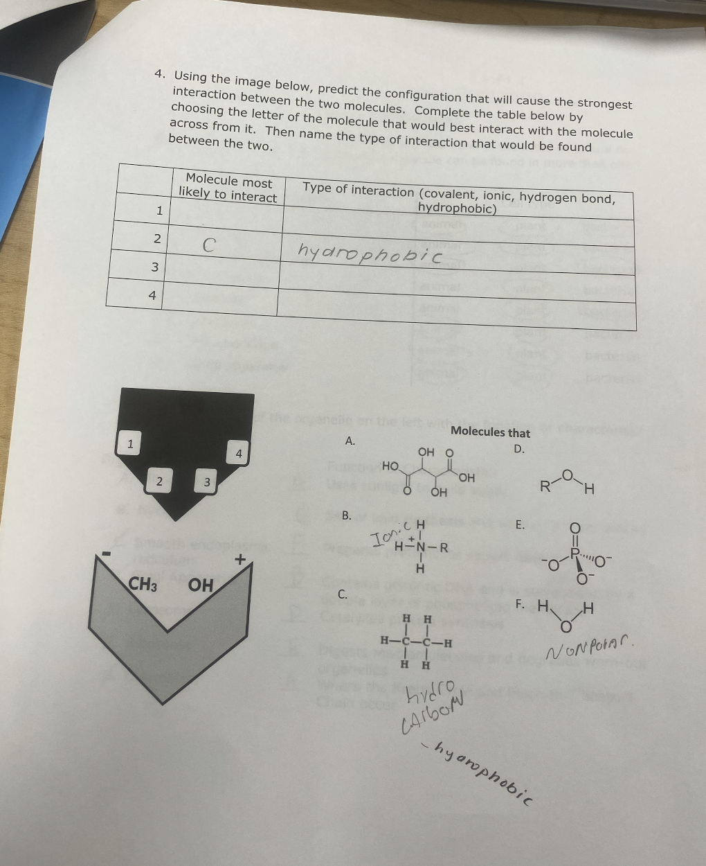 Help filling out table, 4. Using the image below, predict the