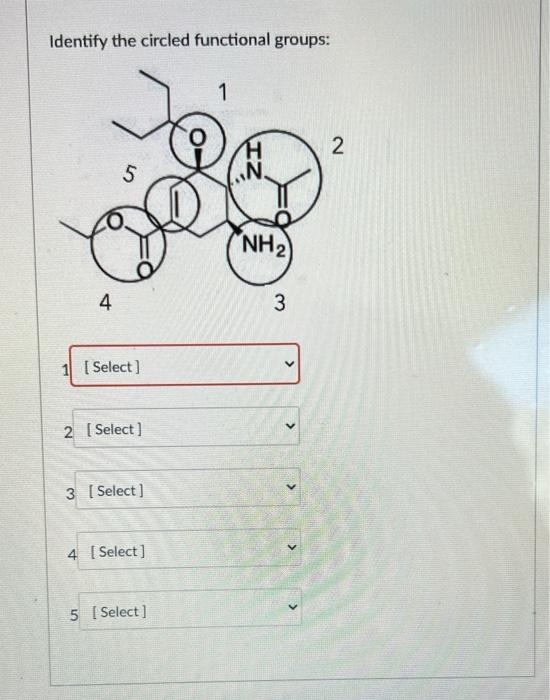  Identify the circled functional groups: 1 H 2 N 5 IN