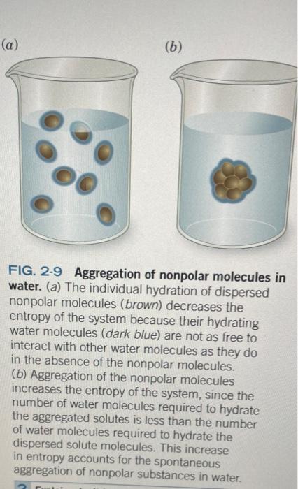 hello. may someone explain in simple terms or another easier way than