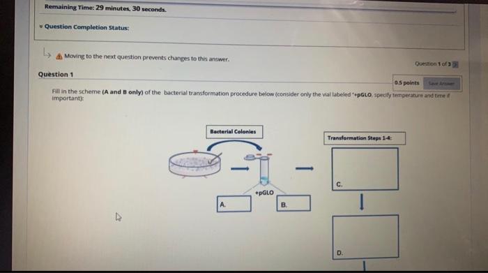  Remaining Time: 29 minutes 30 seconds Question Completion Status: Moving to