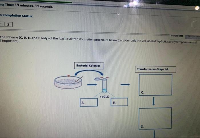 0.5 points Fill in the scheme (A and B only) of the