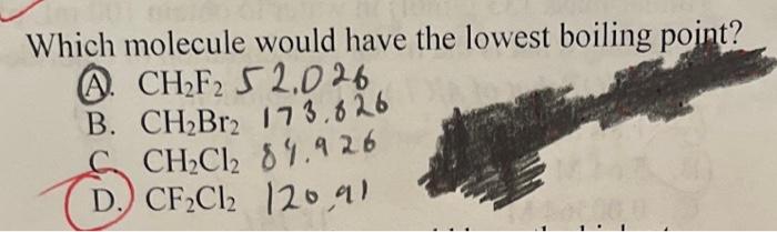 the correct answer is D but im not sure why. please help
