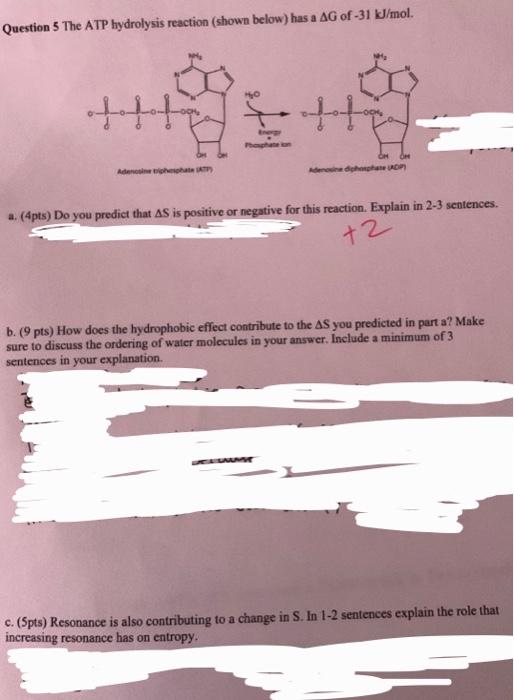  Question 5 The ATP hydrolysis reaction (shown below) has a G