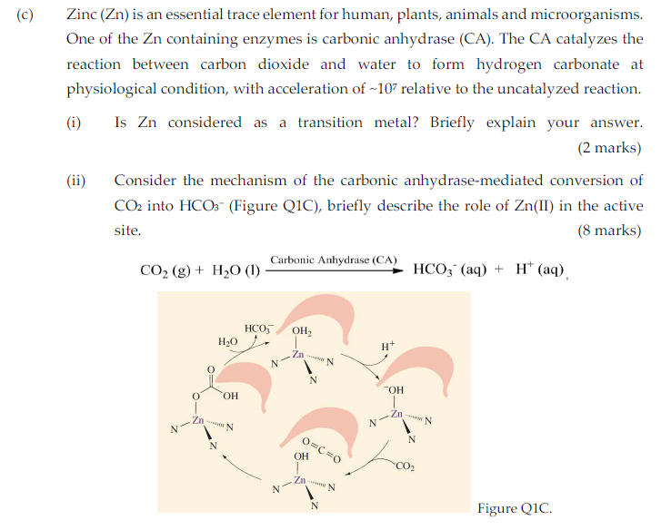 (c) Zinc (Zn) is an essential trace element for human, plants,