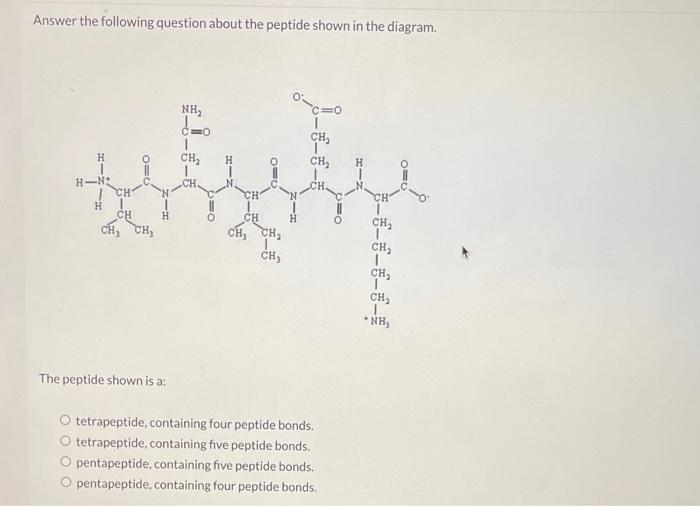 biochem pls help Answer the following question about the peptide shown in