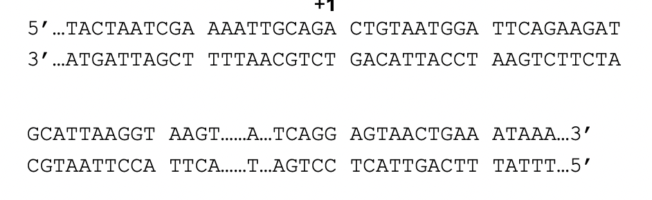 Hello can you please help me with this. Thank you very much.