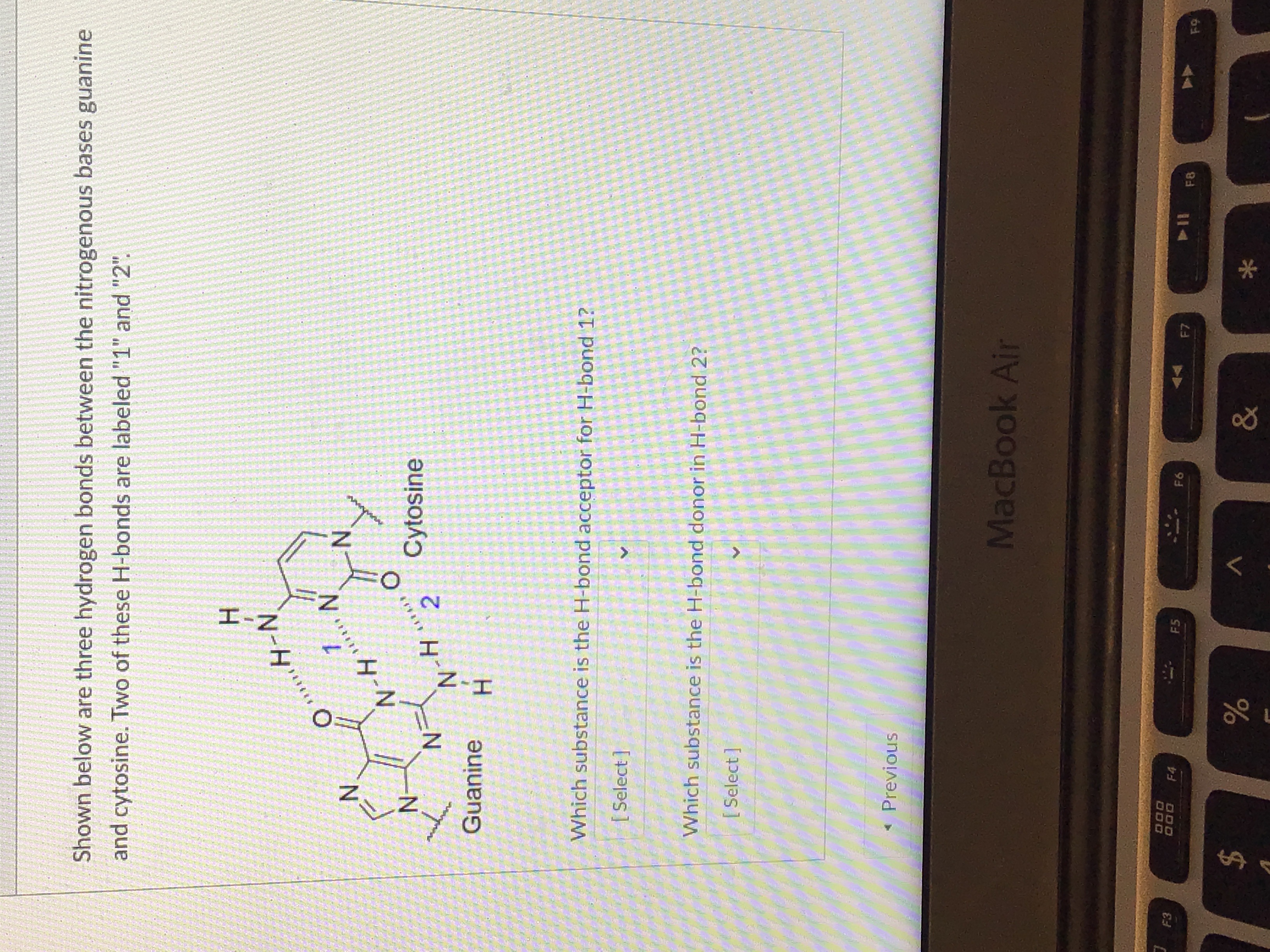  Shown below are three hydrogen bonds between the nitrogenous bases guanine
