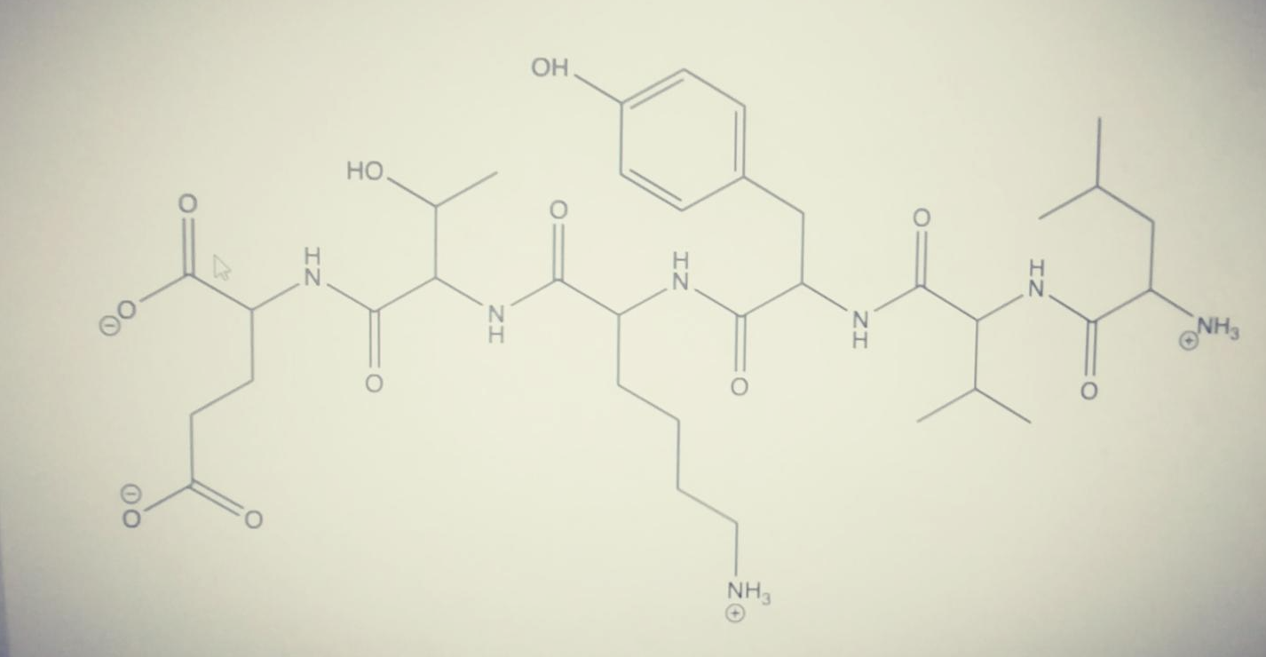  Use 1 letter code for amino acids to name peptide above.