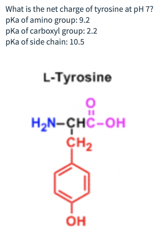 Could you please explain how you arrived at the answer please, and