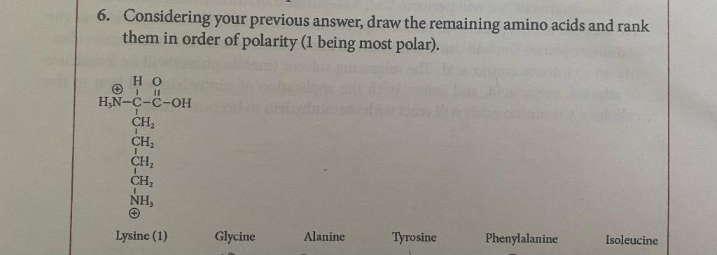 6. Considering your previous answer, draw the remaining amino acids and