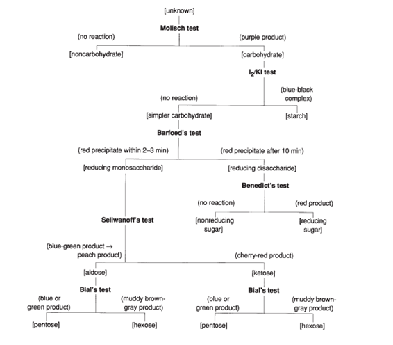  Please create a flow chart like this but also include FELING'S
