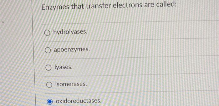 might be called a(n) : apoenzyme. transition state. holoenzyme. prosthetic group. coenzyme.