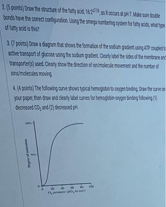 answers to these questions on blank paper. When you are ready to