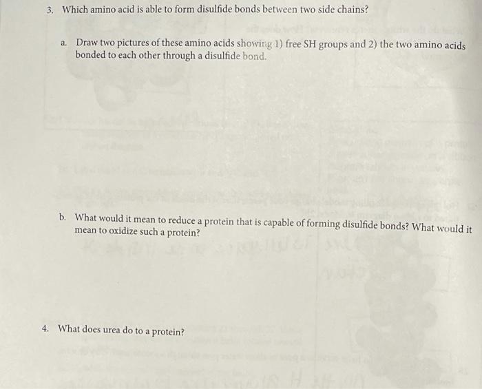 please answer #3. part a,b,c ! PLEASE AND THANK YOU. 3. Which