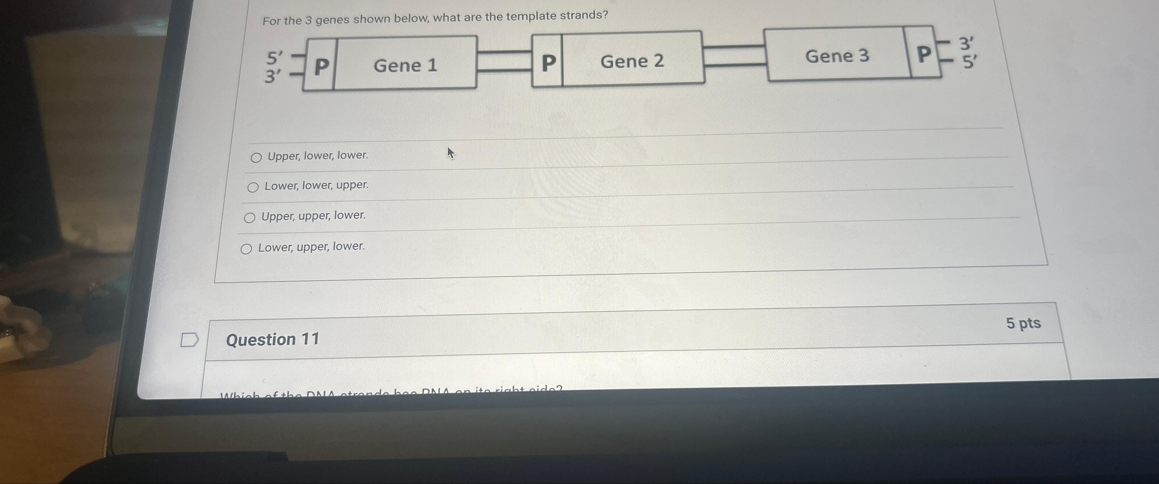  For the 3 genes shown below, what are the template strands?
