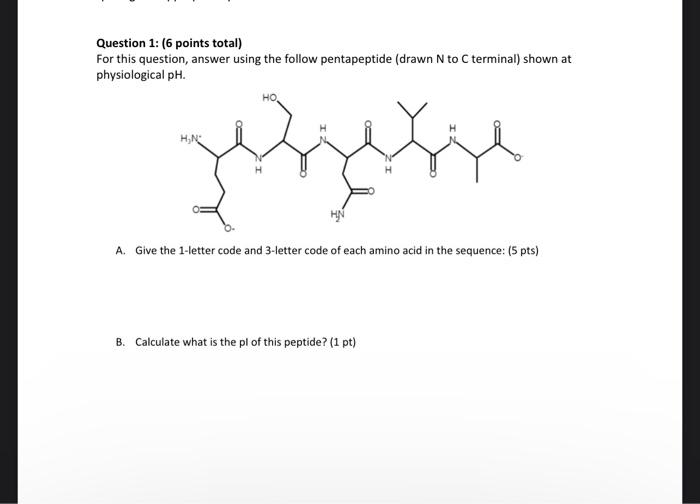  Question 1: (6 points total) For this question, answer using the