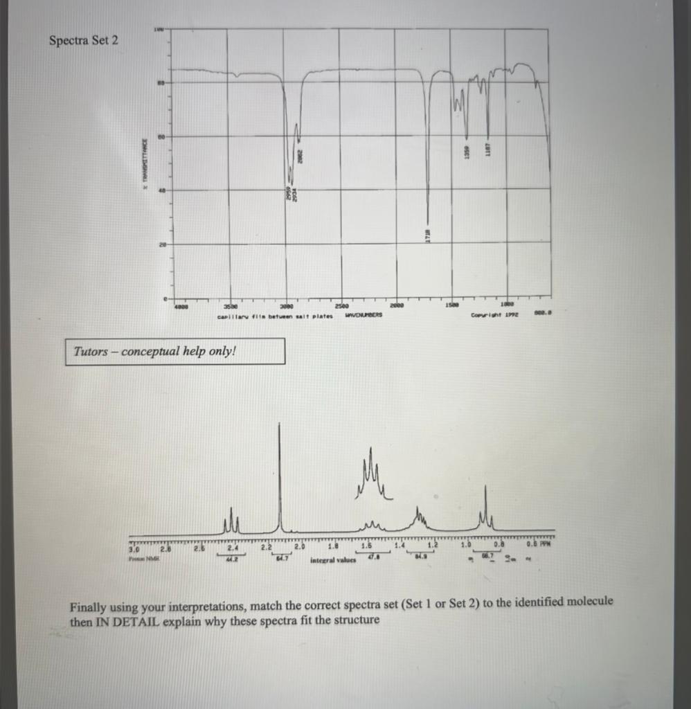  2. You've isolated a molecule in lab and through analysis you've