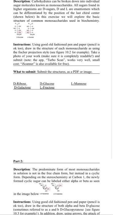 help answer please Description: Carbohydrates can be broken down into individual sugar