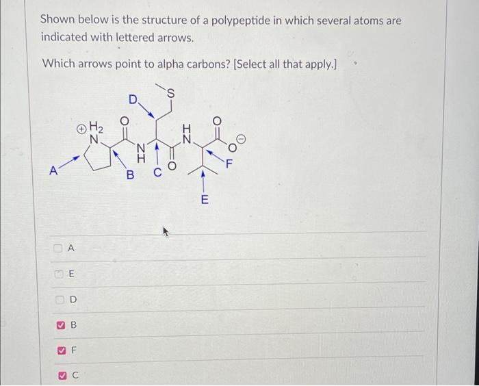  Shown below is the structure of a polypeptide in which several