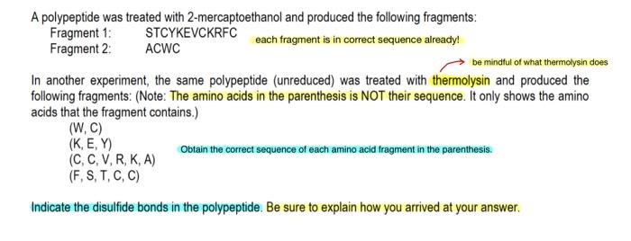 QUESTION. I need a more detailed one. Indicate the disulfide bond/s in