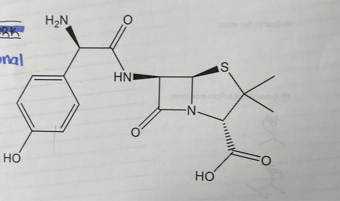 list all functional groups found 
