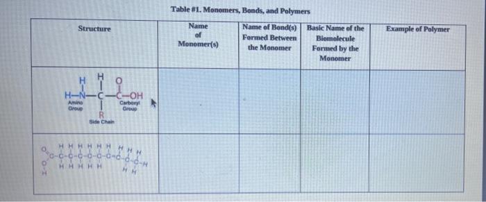  Structure Table #1. Monomers, Bends, and Polymers Name Name of Bond(s)
