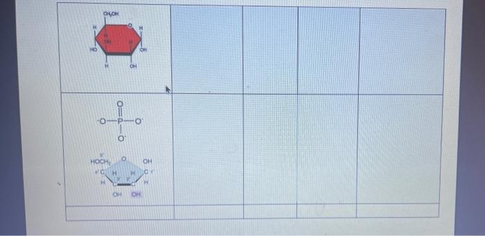 Basic Name of the of Formed Between Biomolecule Monomer(s) the Monomer Formed