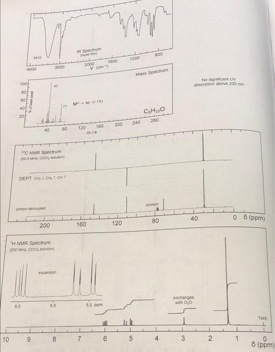what would be the structure for this spectra? mwin IR Spectrum 800