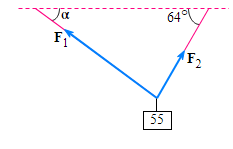  Consider a 55-N weight suspended by two wires as shown in