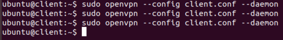 get nothing. Similarly, when I type "sudo openvpn --config client.conf --daemon" in
