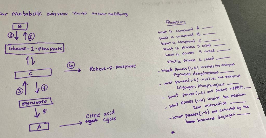 please help me with questions , i am having a hard time
